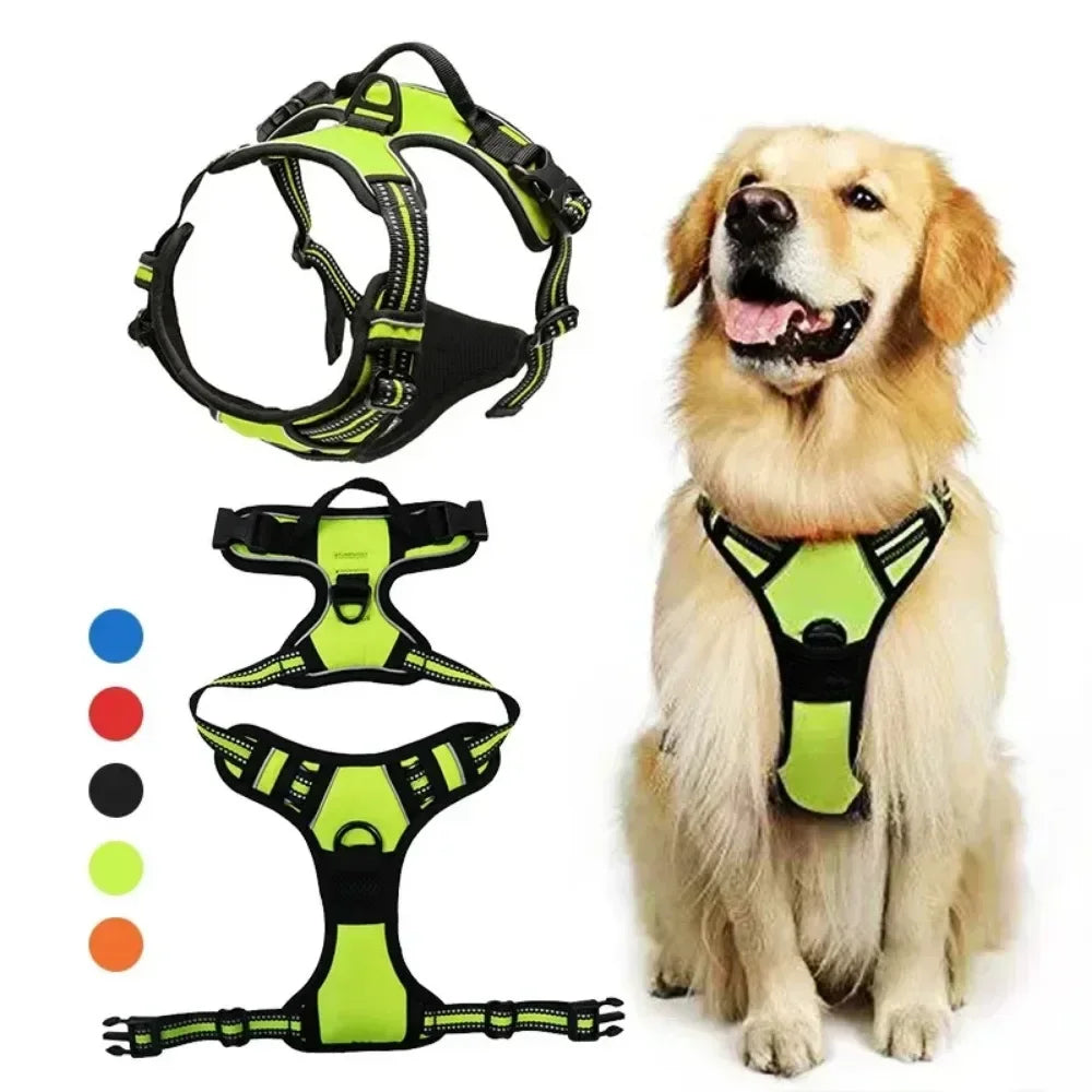 SafePaw