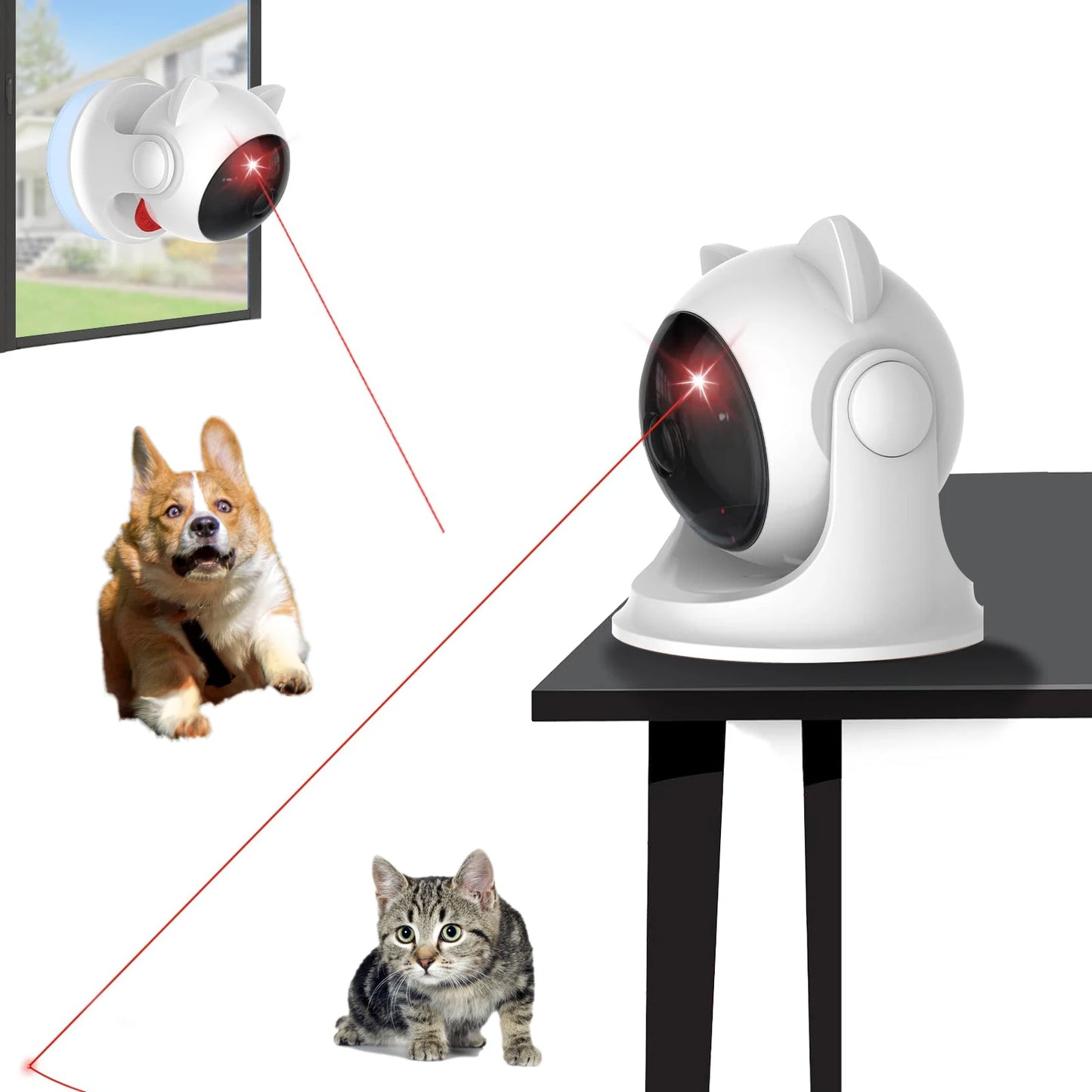 PawLaser