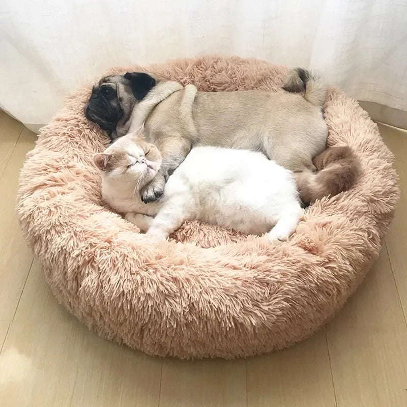 NubeSnug