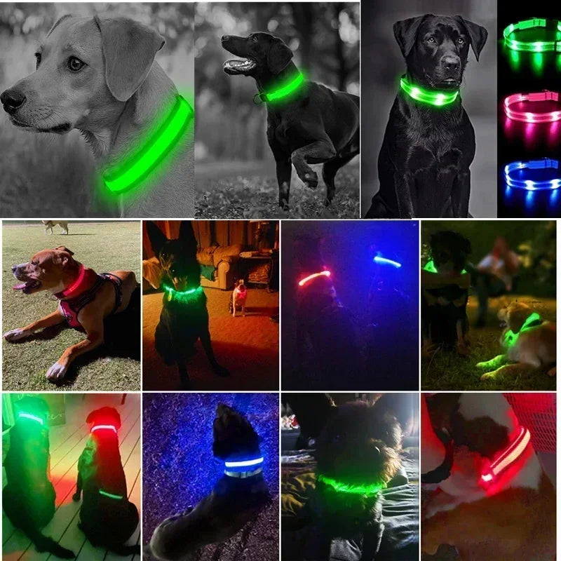 LumiPet