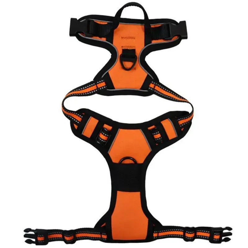SafePaw