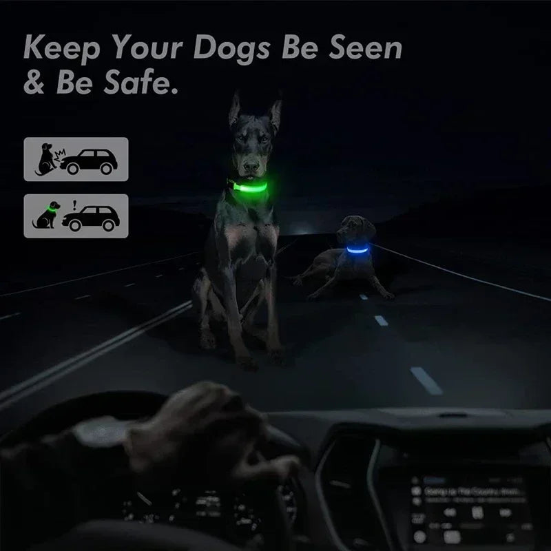 LumiPet