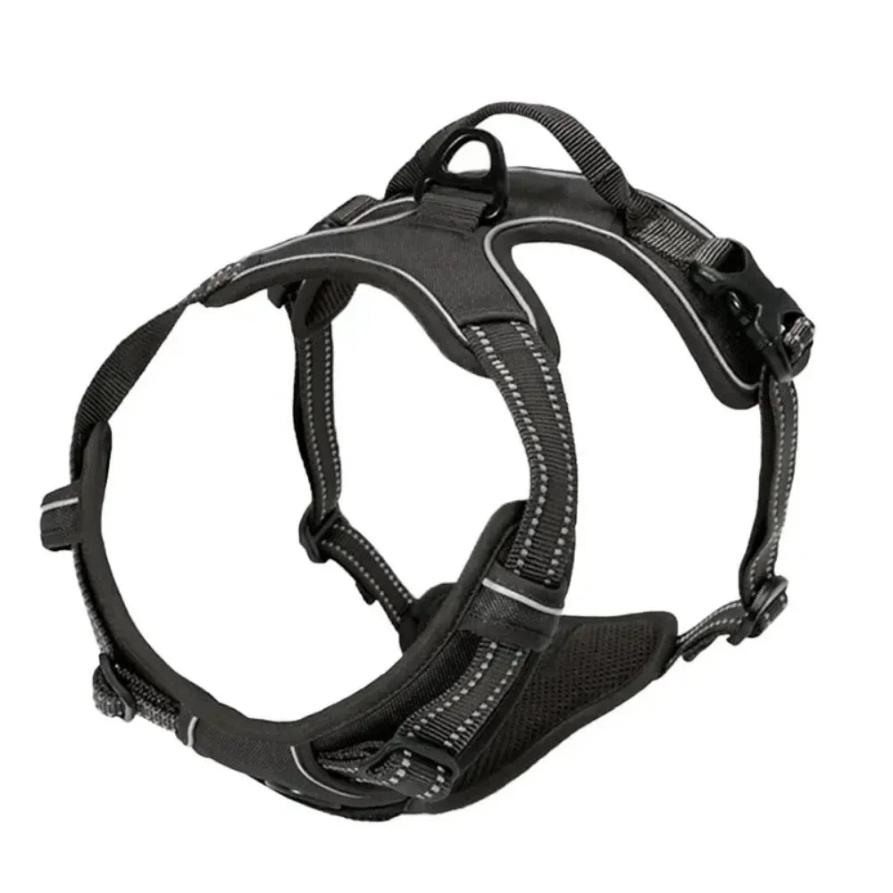 SafePaw