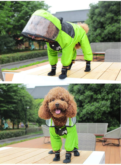 RainPup