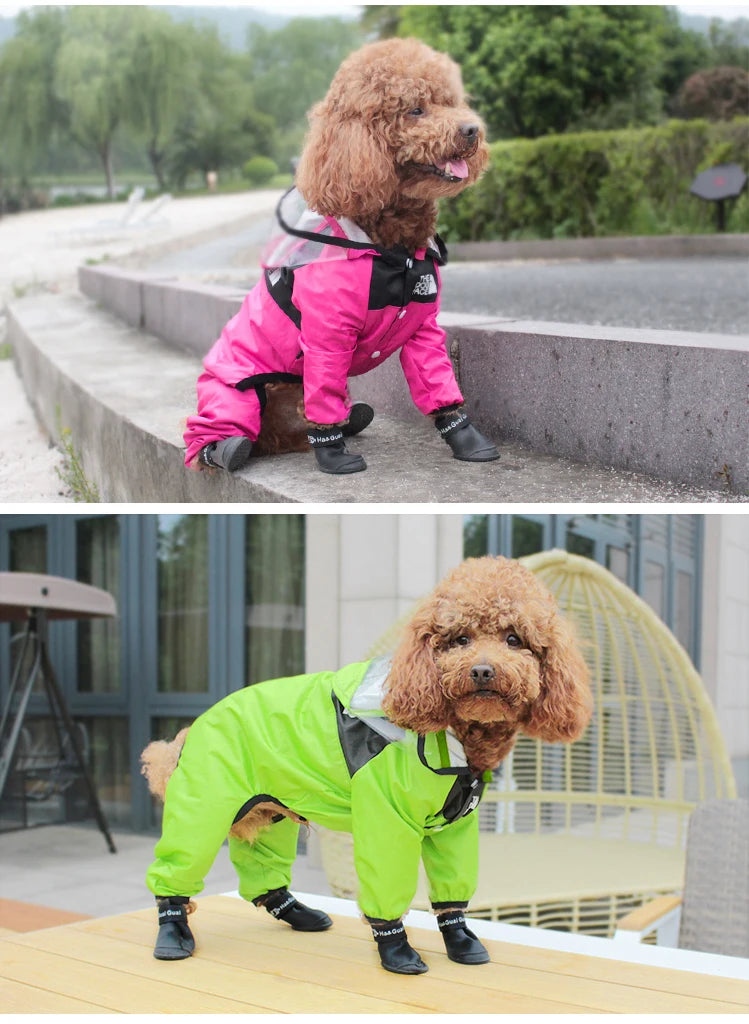 RainPup