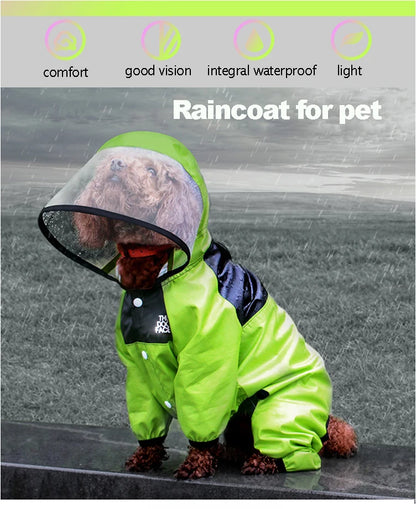 RainPup