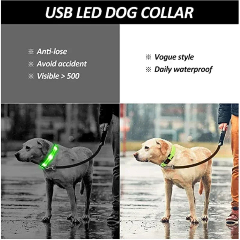 LumiPet