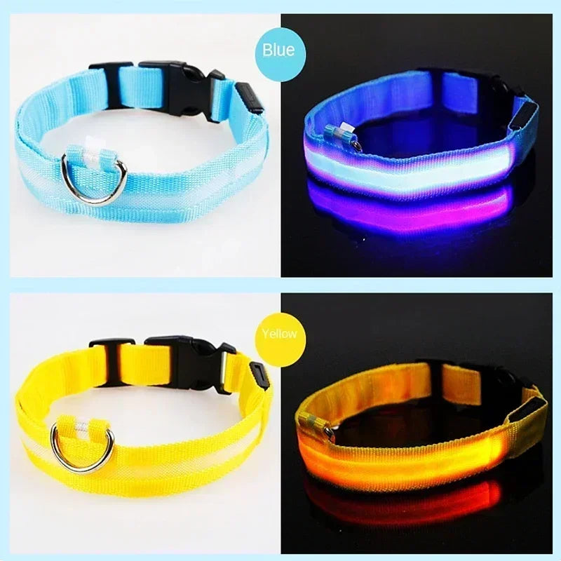 LumiPet