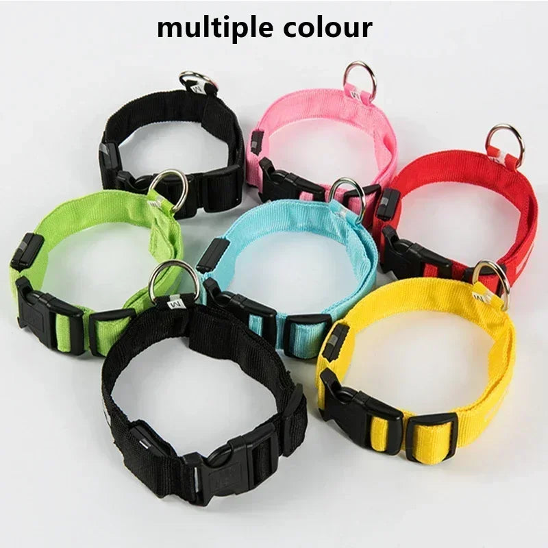 LumiPet