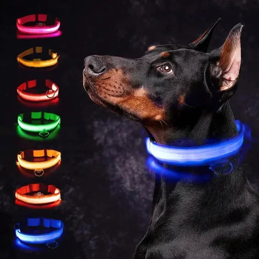 LumiPet