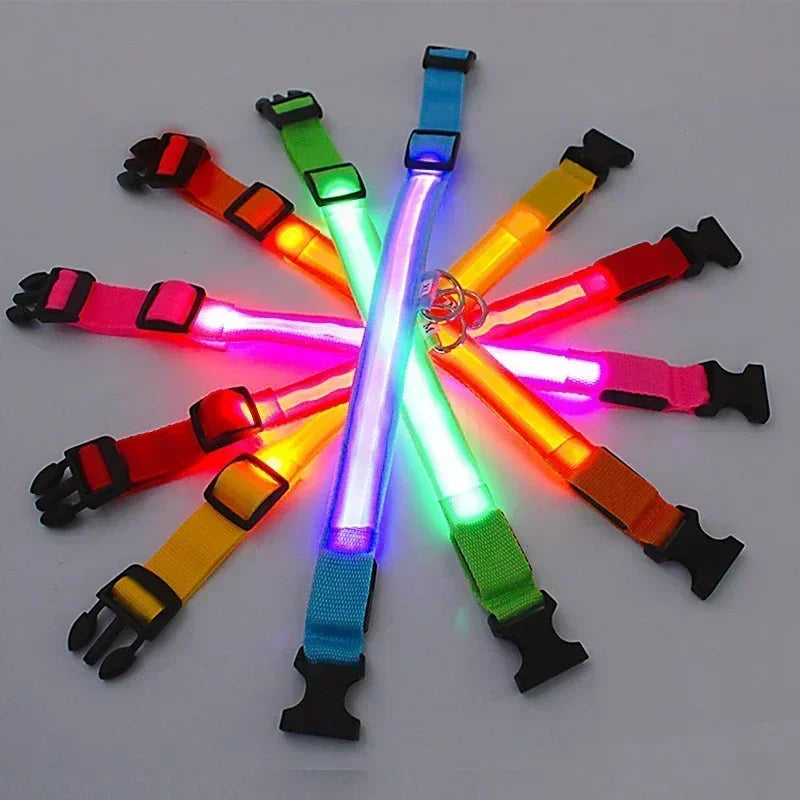 LumiPet