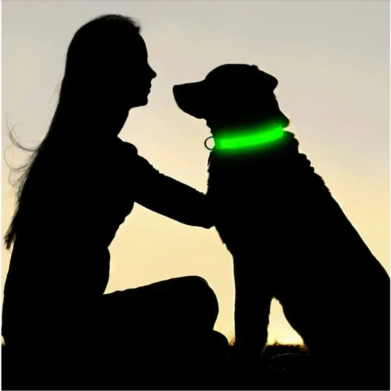 LumiPet
