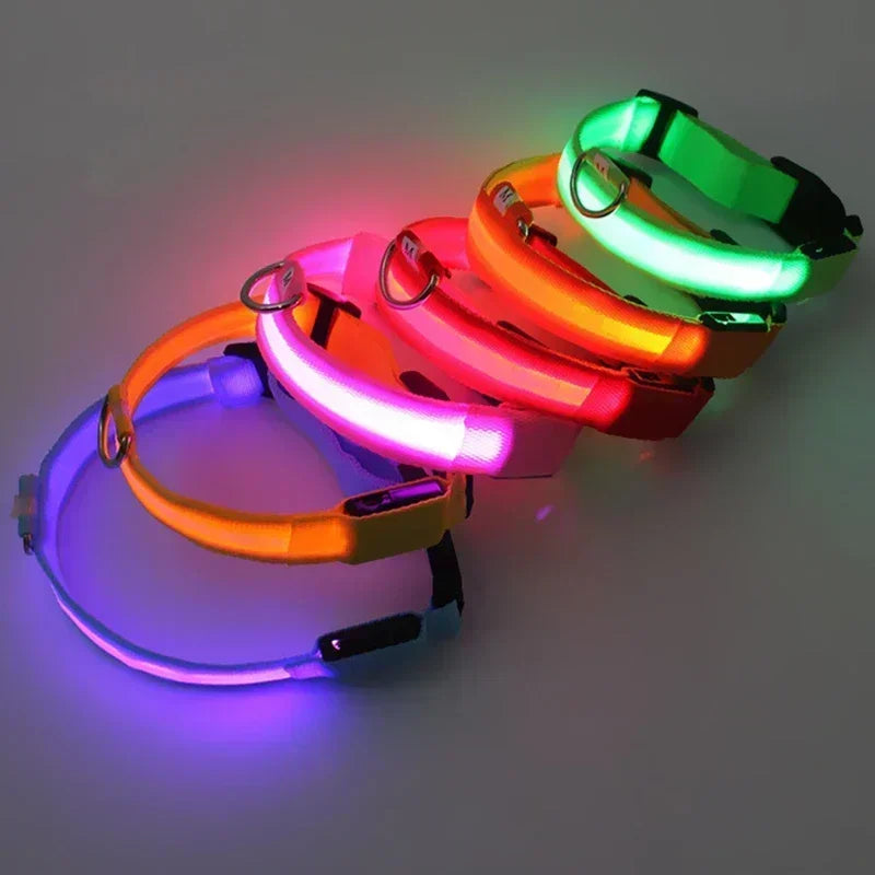 LumiPet