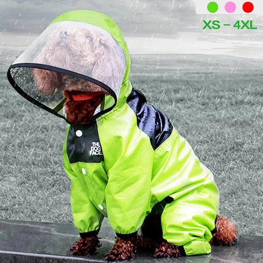 RainPup