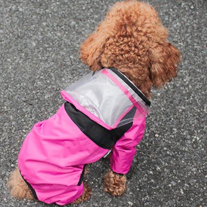RainPup
