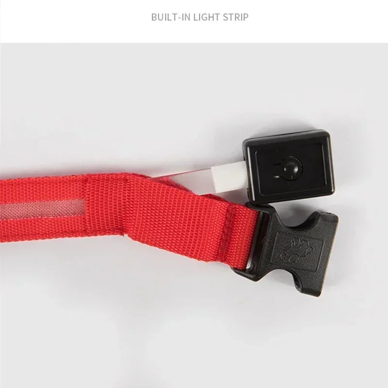 LumiPet