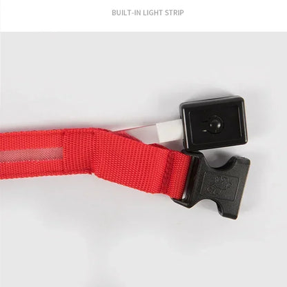LumiPet