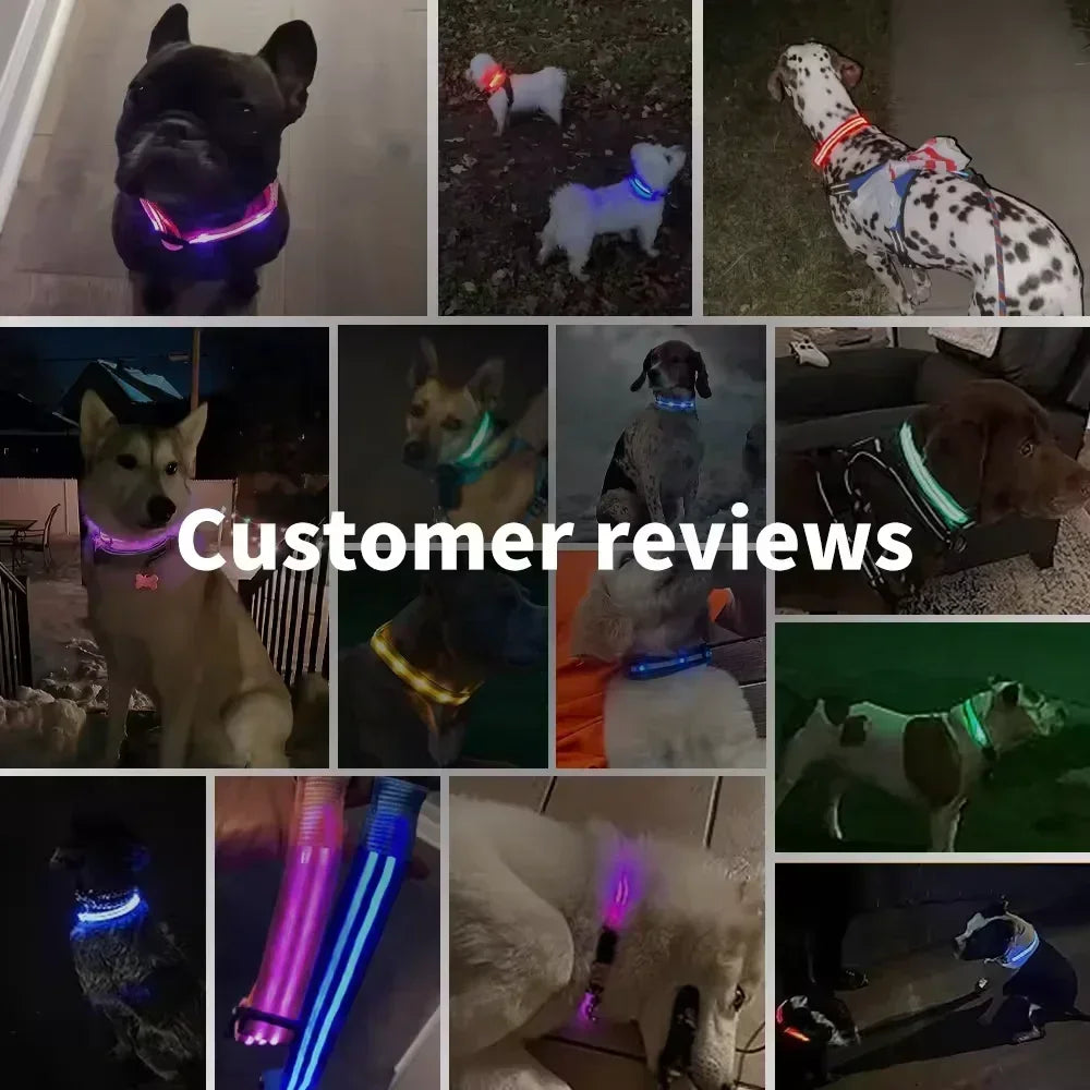 LumiPet