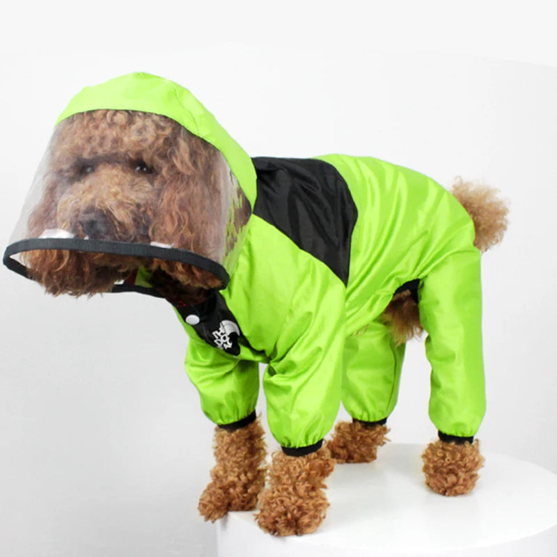 RainPup