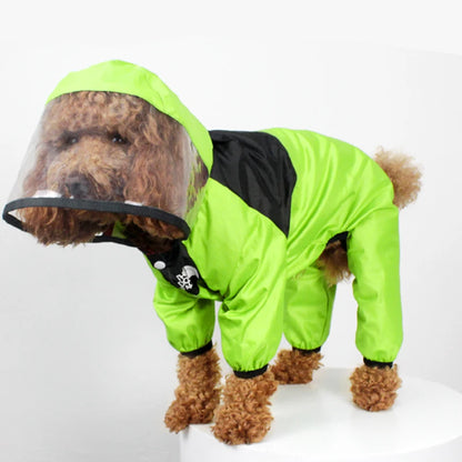 RainPup