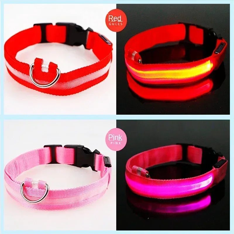 LumiPet