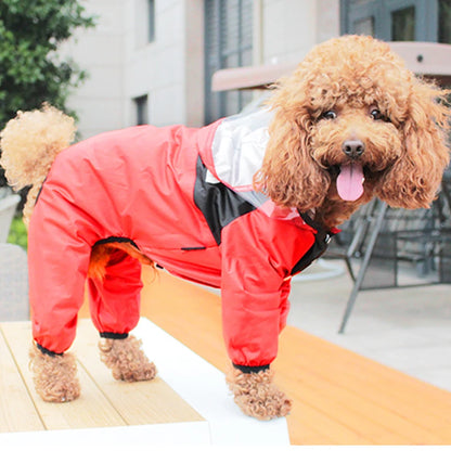 RainPup