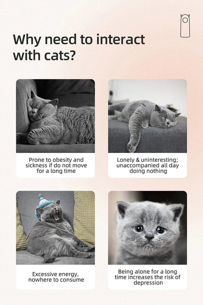 PawLaser