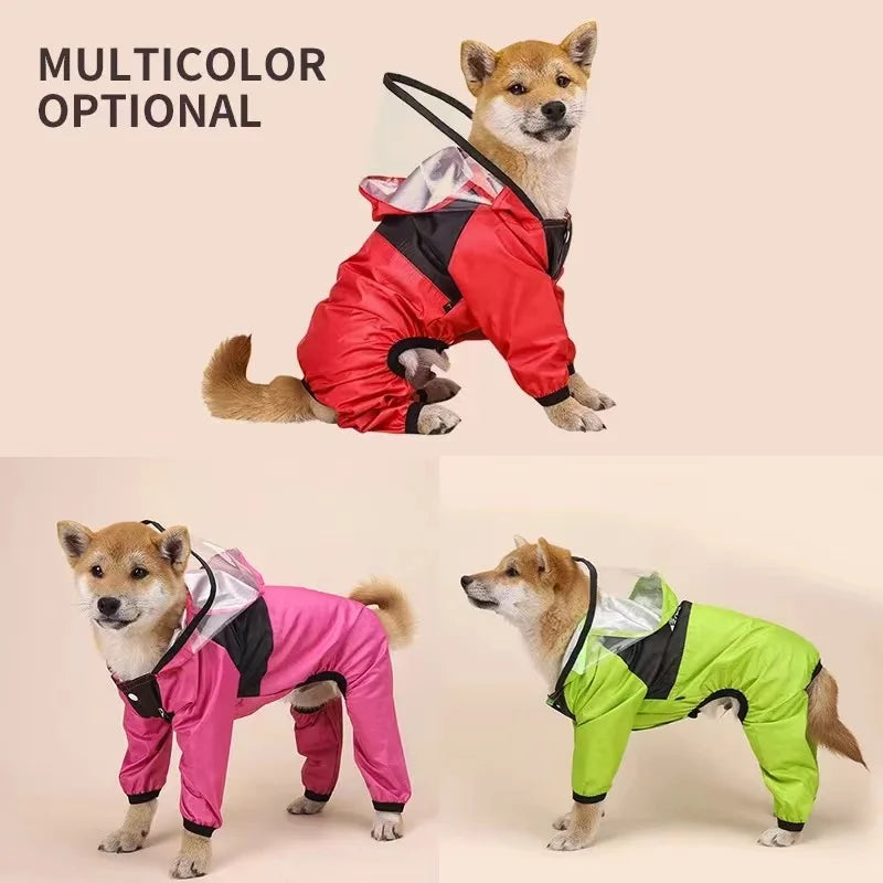 RainPup