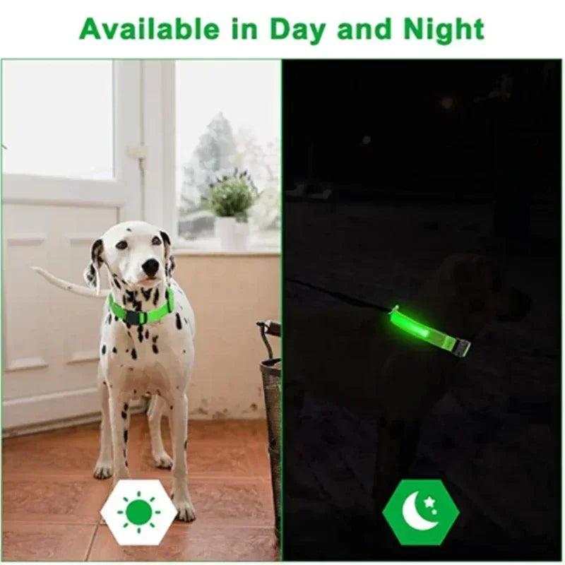 LumiPet