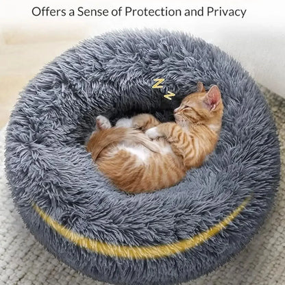 NubeSnug